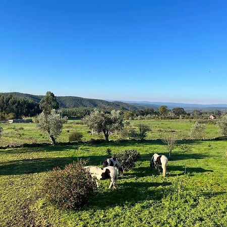 Quinta Da Barroca Do Cabo Bed and Breakfast Ázere Εξωτερικό φωτογραφία