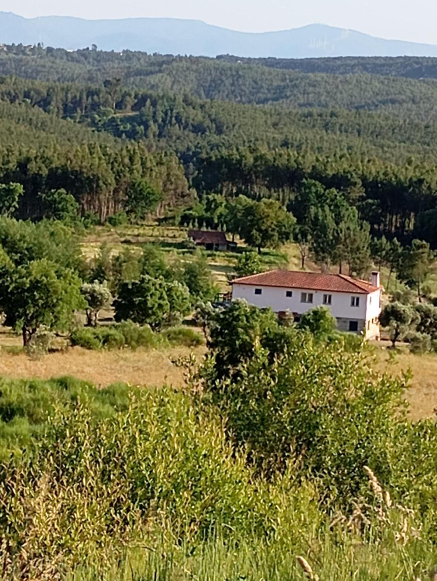 Quinta Da Barroca Do Cabo Bed and Breakfast Ázere Εξωτερικό φωτογραφία