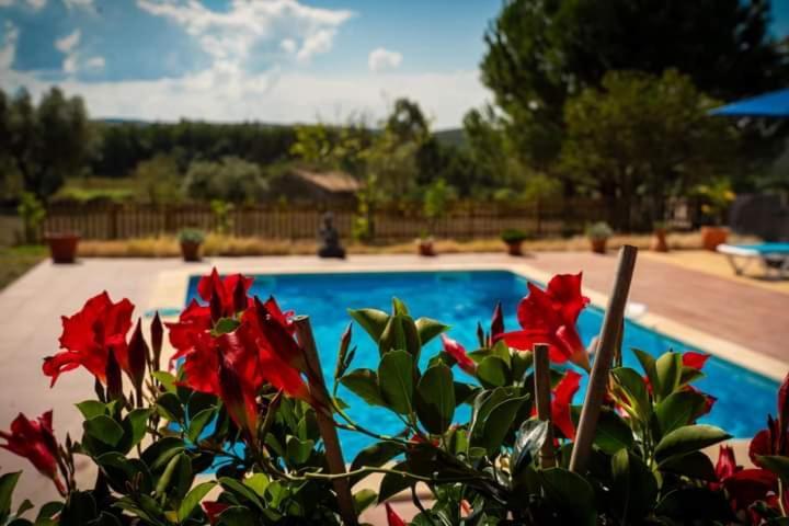 Quinta Da Barroca Do Cabo Bed and Breakfast Ázere Εξωτερικό φωτογραφία